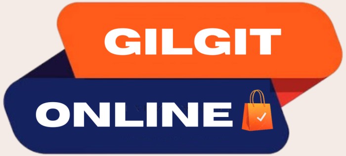 Gilgit Online