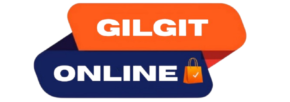 Gilgit Online Logo